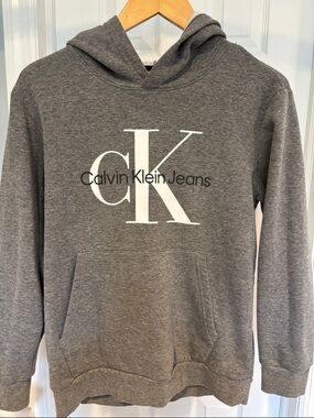Calvin Klein Jeans Gray Logo Pullover Hoodie